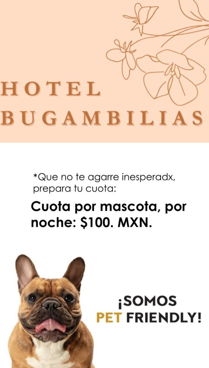 Hotel Bugambilias Oaxaca ภายนอก รูปภาพ